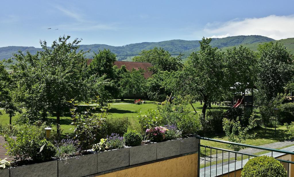 Donauwirt - Hotel Garni Weissenkirchen in der Wachau Exterior foto